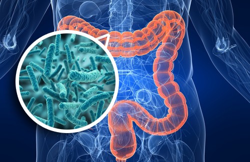 ALLERGIA,GONFIORE ADDOMINALE,INTOLLERANZE,STIPSI CRONICA ED ALTRO SPIEGATE DAL DOTT. MORENO FINAMONTI, MEDICO SPECIALISTA IN MICROBIOLOGIA E VIROLOGIA