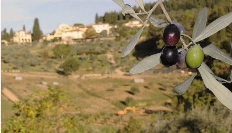 “OLIO E SALUTE – FRANTOI DEL MENOTRE”: CONVEGNO A VESCIA COL VIROLOGO E MICROBIOLOGO DOTT. MORENO FINAMONTI